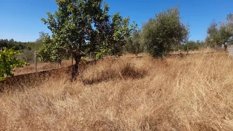Terreno para Venda em Benquerenças