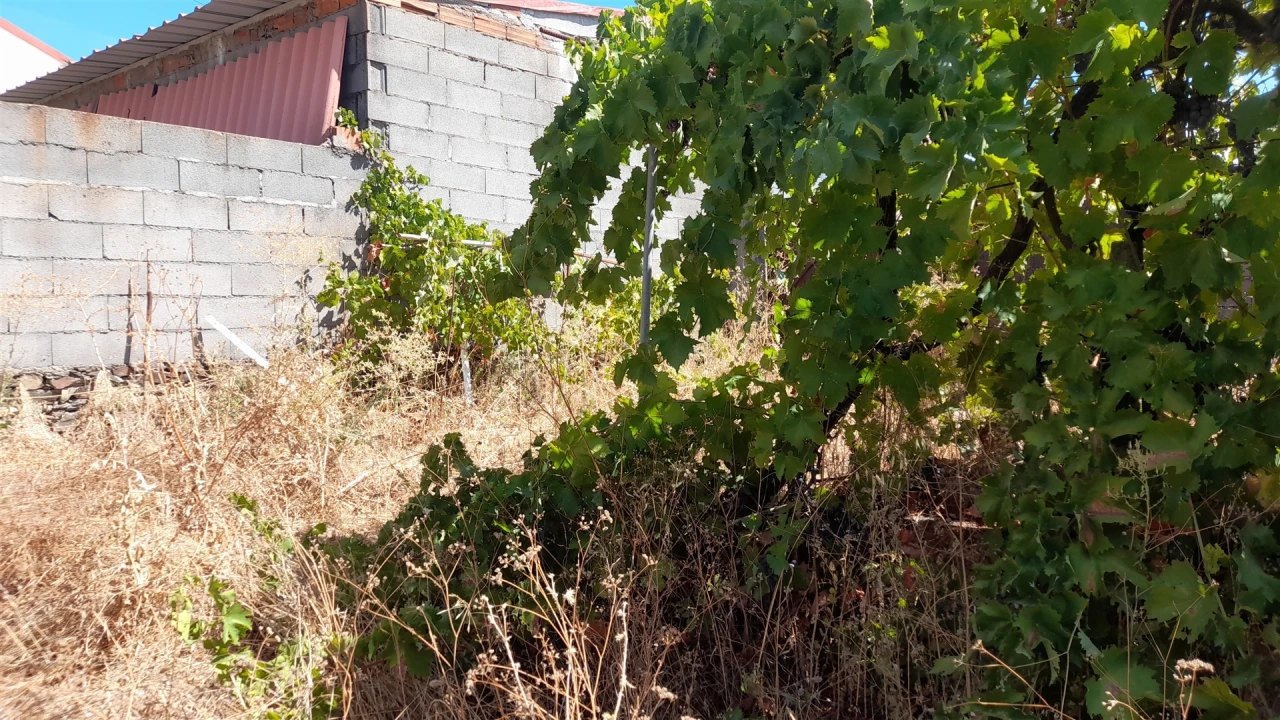 Terreno para Venda em Benquerenças Foto 11