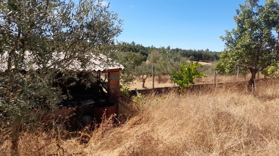 Terreno para Venda em Benquerenças Foto 7