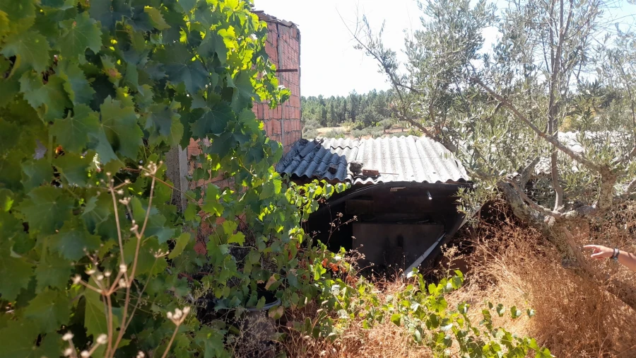 Terreno para Venda em Benquerenças Foto 6