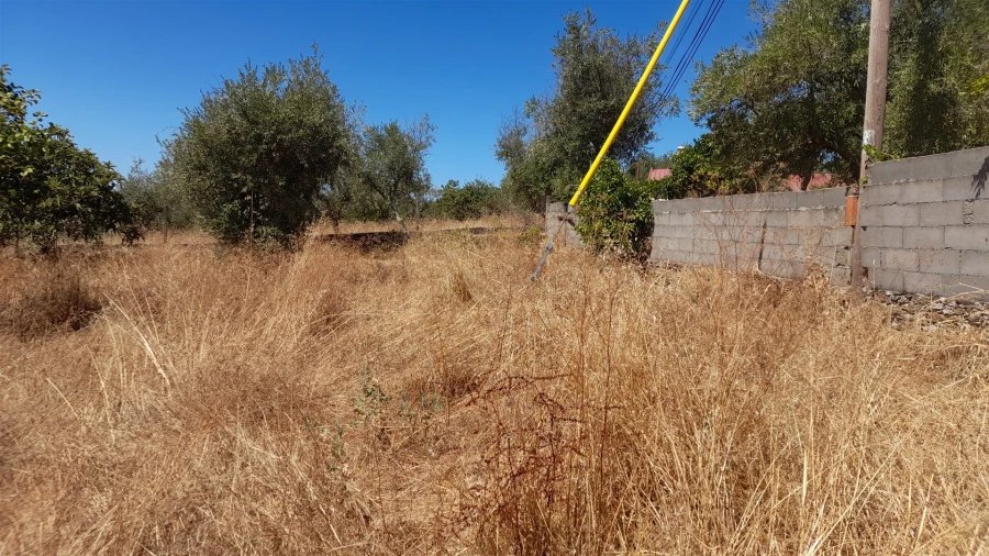 Terreno para Venda em Benquerenças Foto 8