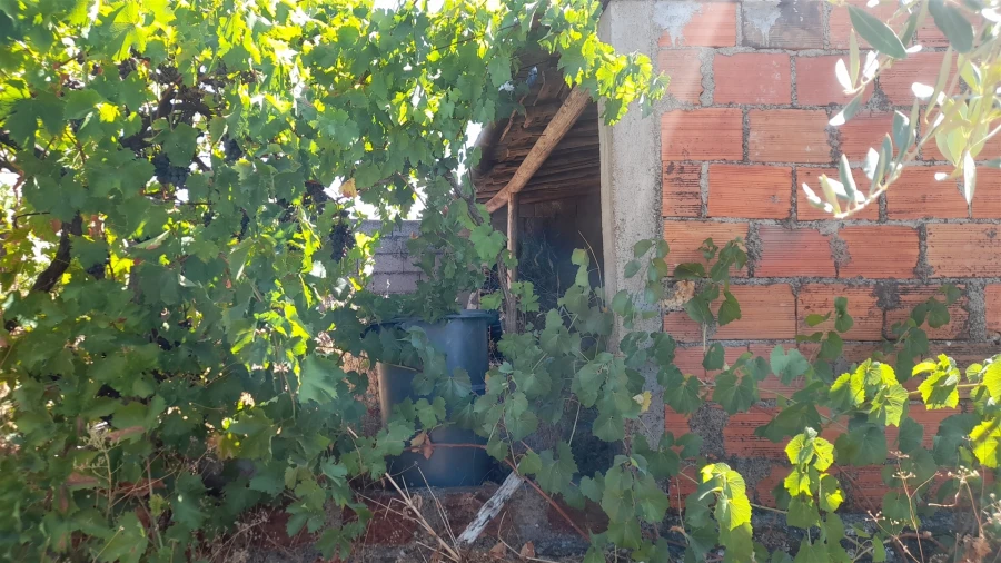 Terreno para Venda em Benquerenças Foto 10
