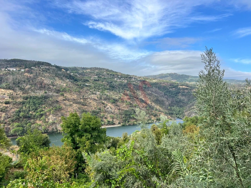 Moradia T3 para Venda em Oliveira do Douro Foto 38