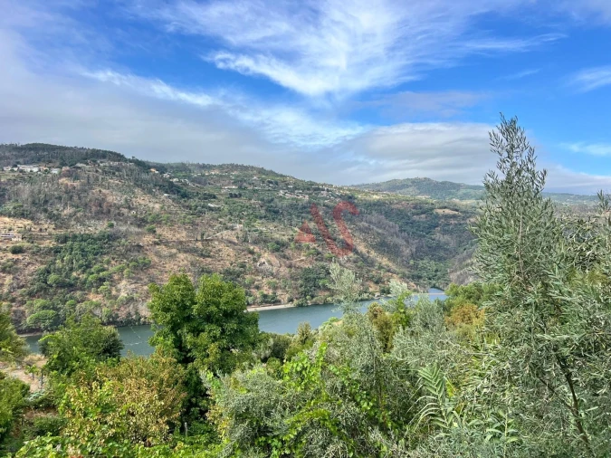 Moradia T3 para Venda em Oliveira do Douro Foto 40