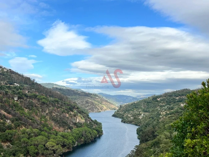 Moradia T3 para Venda em Oliveira do Douro Foto 42
