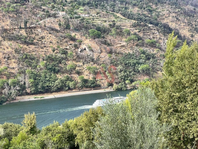 Moradia T3 para Venda em Oliveira do Douro Foto 41