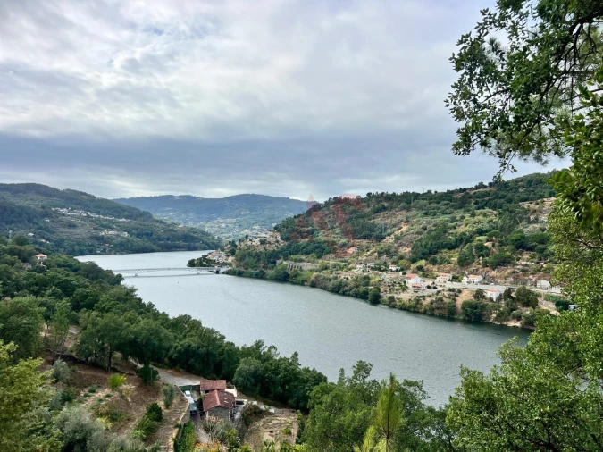 Moradia T3 para Venda em Oliveira do Douro Foto 36