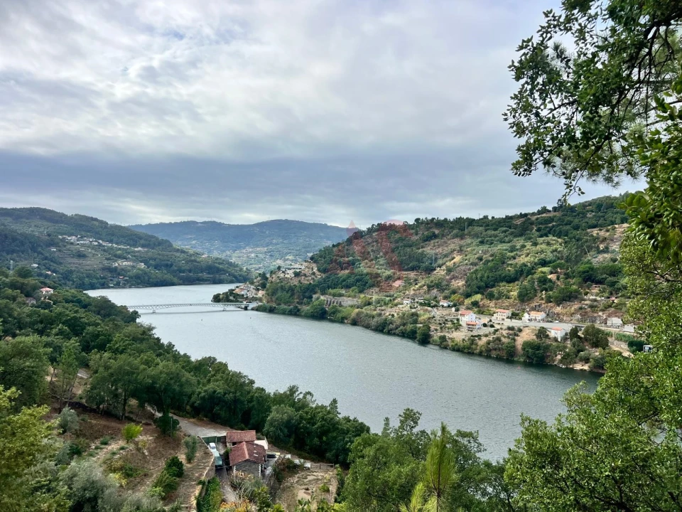 Moradia T3 para Venda em Oliveira do Douro Foto 36