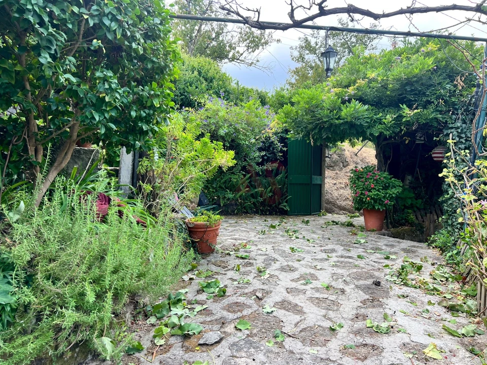 Moradia T3 para Venda em Oliveira do Douro Foto 10