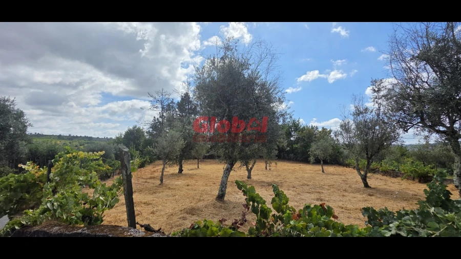 Terreno para Venda em Santos Evos