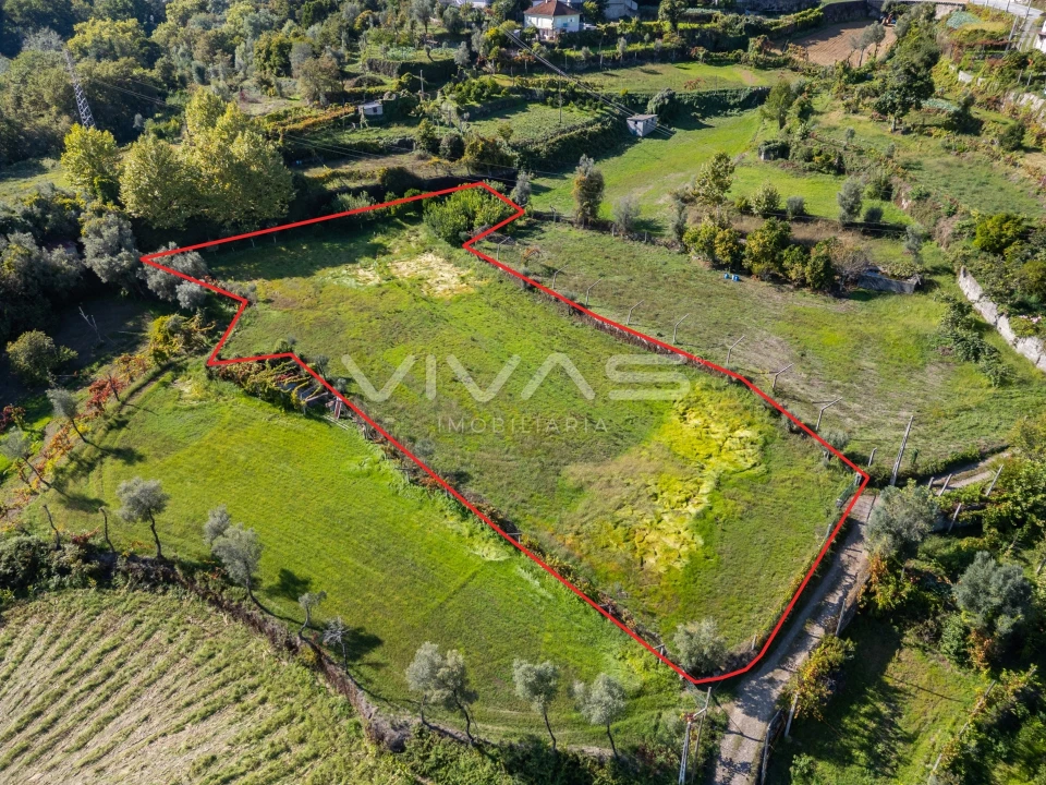 Terreno Agricola ou Rústico para Arrendamento em Valdosende Foto 3