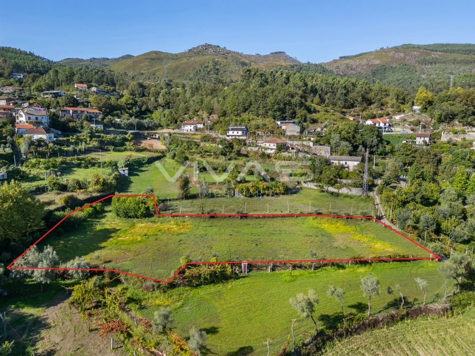 Terreno Agricola ou Rústico para Arrendamento em Valdosende Foto 5