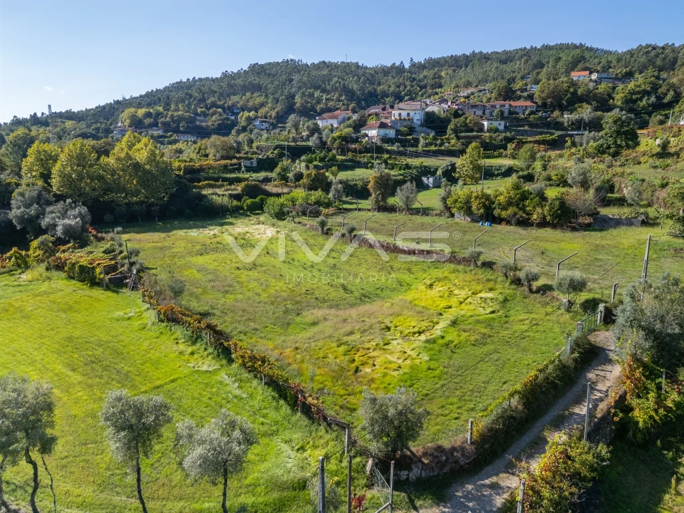 Terreno Agricola ou Rústico para Arrendamento em Valdosende Foto 18