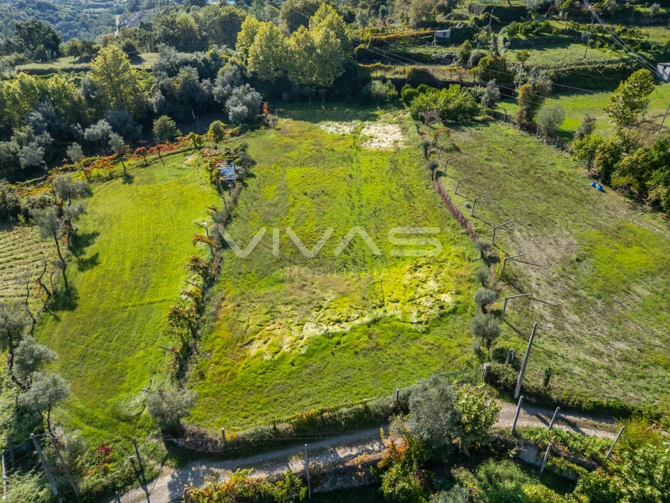 Terreno Agricola ou Rústico para Arrendamento em Valdosende Foto 12