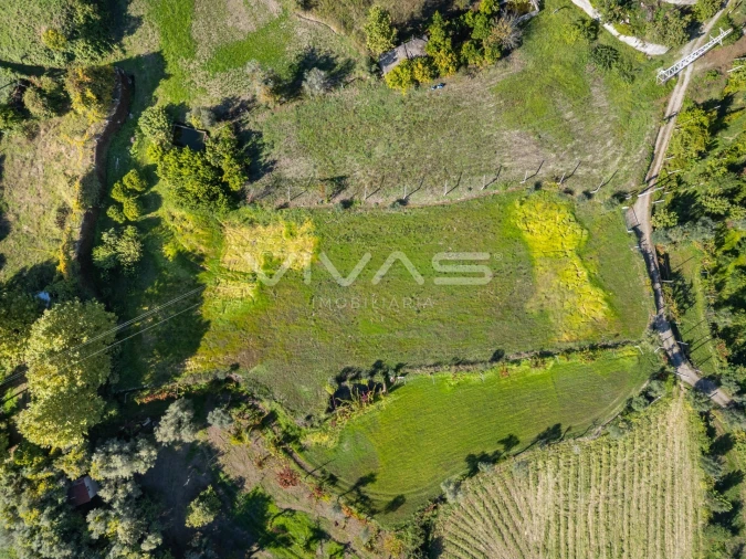 Terreno Agricola ou Rústico para Arrendamento em Valdosende Foto 16