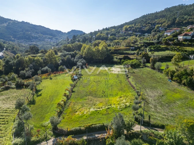 Terreno Agricola ou Rústico para Arrendamento em Valdosende Foto 13