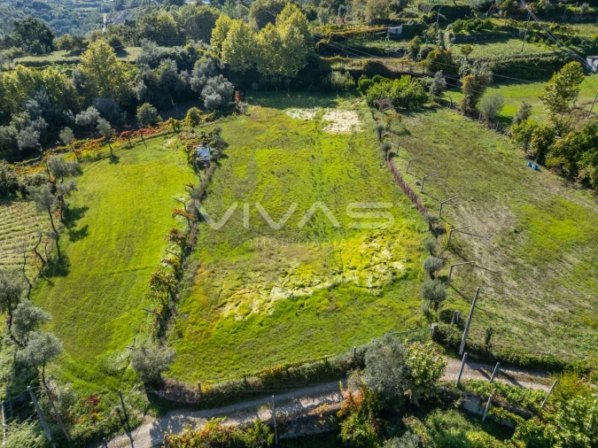 Terreno Agricola ou Rústico para Arrendamento em Valdosende Foto 12