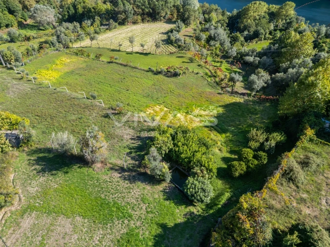 Terreno Agricola ou Rústico para Arrendamento em Valdosende Foto 20