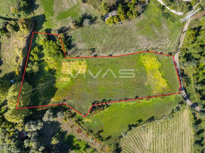 Terreno Agricola ou Rústico para Arrendamento em Valdosende Foto 6