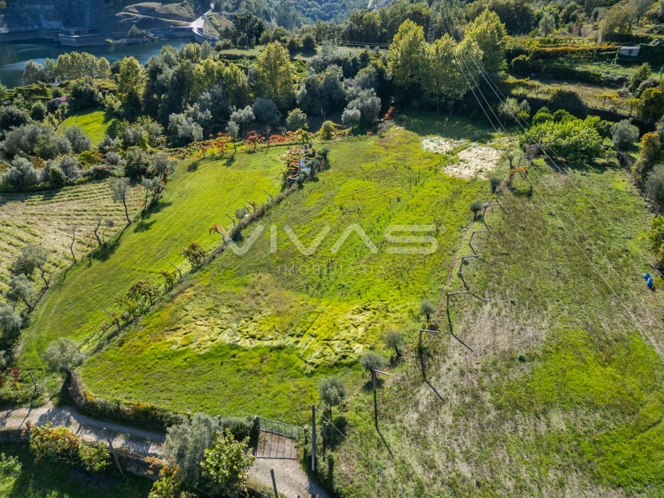Terreno Agricola ou Rústico para Arrendamento em Valdosende Foto 15