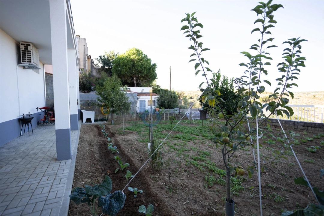 Moradia T4 para Venda em Alfandega da Fe Foto 29