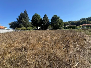 Terreno para Venda em Repeses e São Salvador