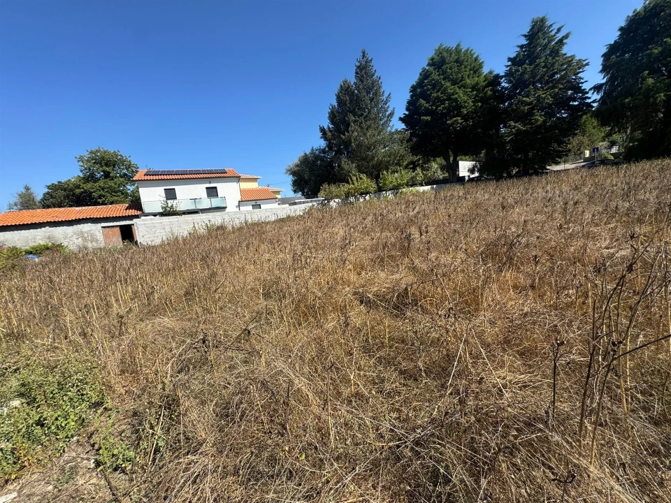 Terreno para Venda em Repeses e São Salvador Foto 6