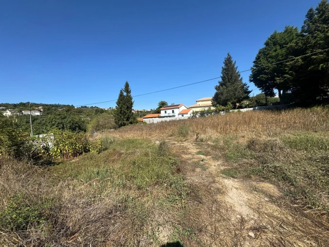 Terreno para Venda em Repeses e São Salvador Foto 5