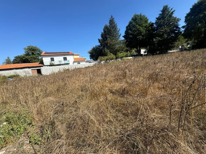 Terreno para Venda em Repeses e São Salvador Foto 6