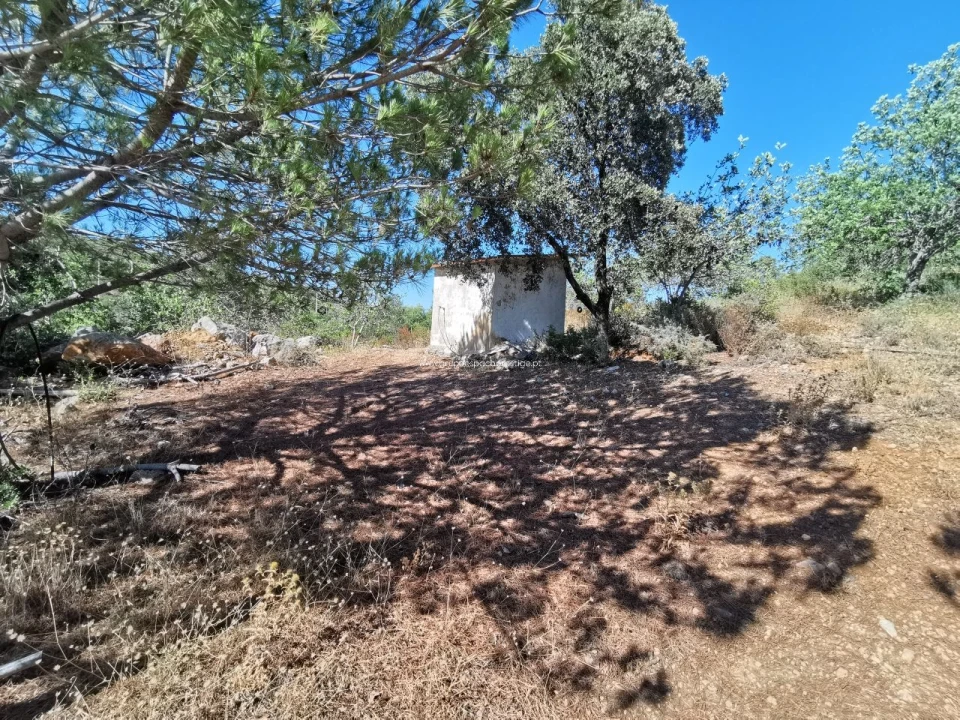 Quinta T2 para Venda em Moncarapacho e Fuseta Foto 4