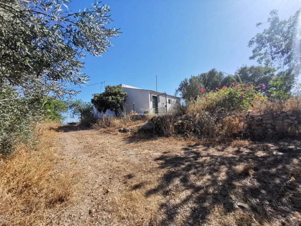 Quinta T2 para Venda em Moncarapacho e Fuseta Foto 2