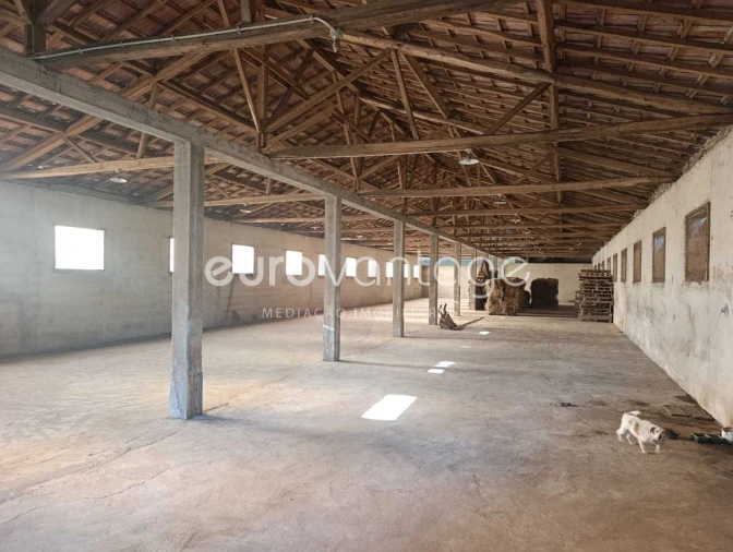 Armazém para Venda em Caranguejeira Foto 19