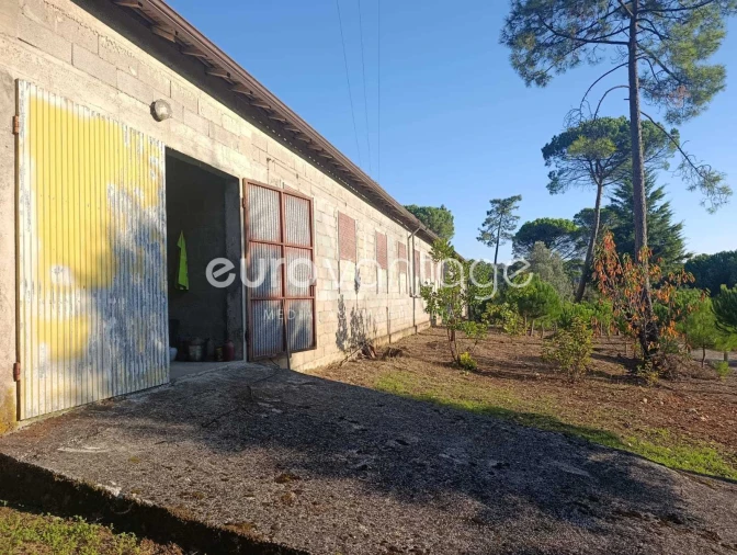 Armazém para Venda em Caranguejeira Foto 13