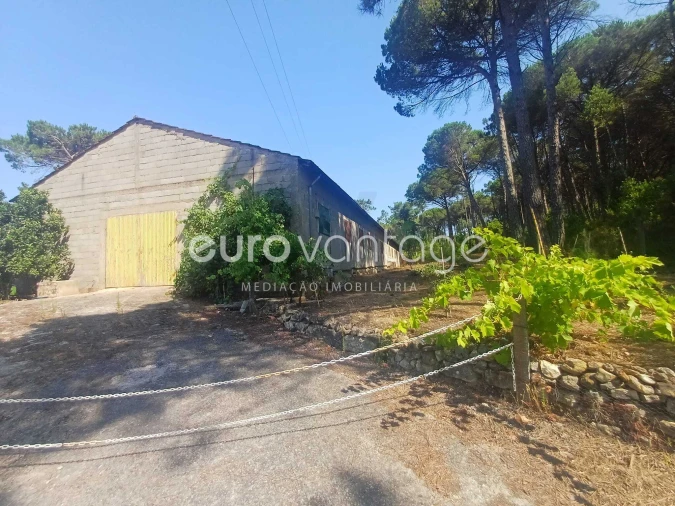 Armazém para Venda em Caranguejeira Foto 3