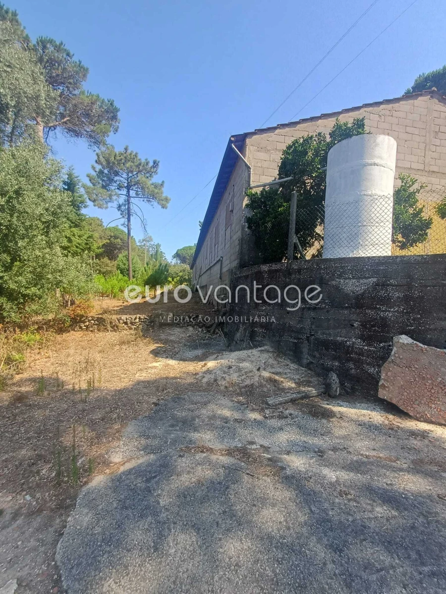 Armazém para Venda em Caranguejeira Foto 5