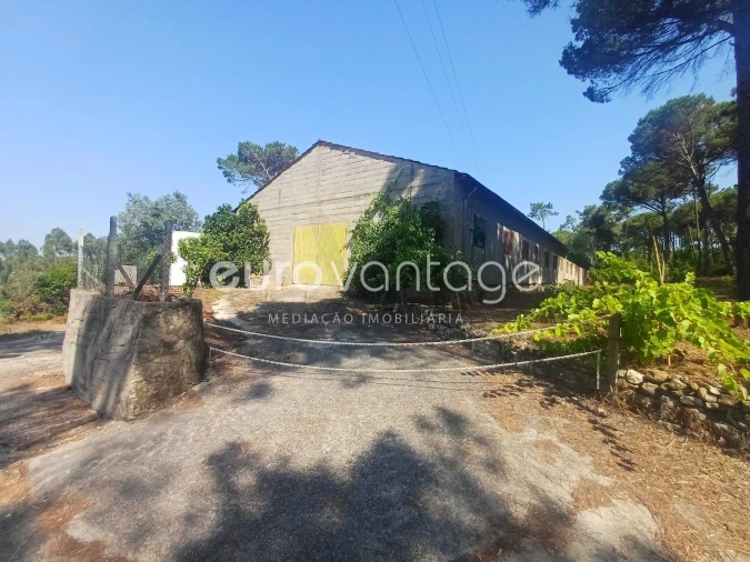 Armazém para Venda em Caranguejeira Foto 6