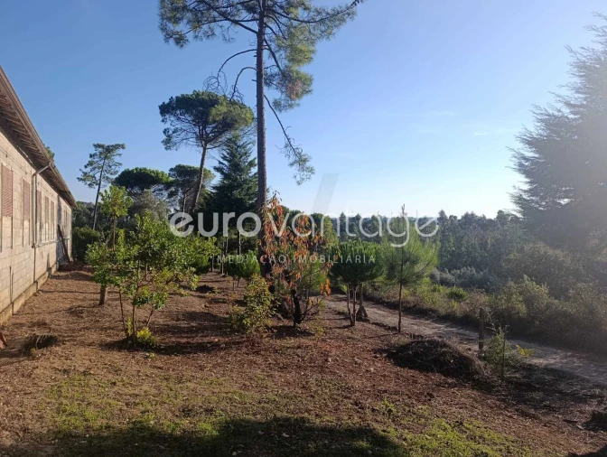 Armazém para Venda em Caranguejeira Foto 12