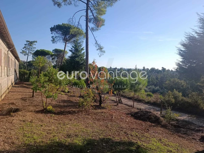 Armazém para Venda em Caranguejeira Foto 14