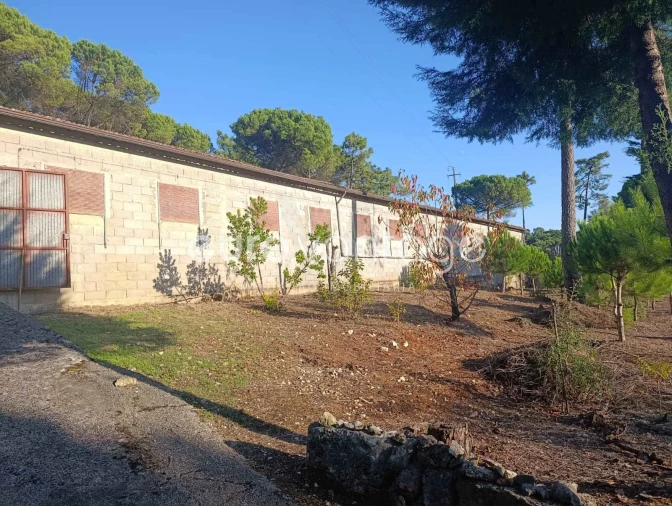 Armazém para Venda em Caranguejeira Foto 1