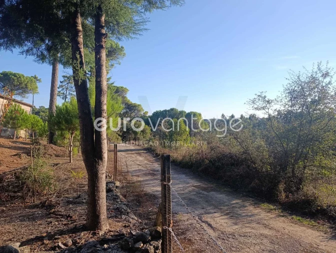 Armazém para Venda em Caranguejeira Foto 10