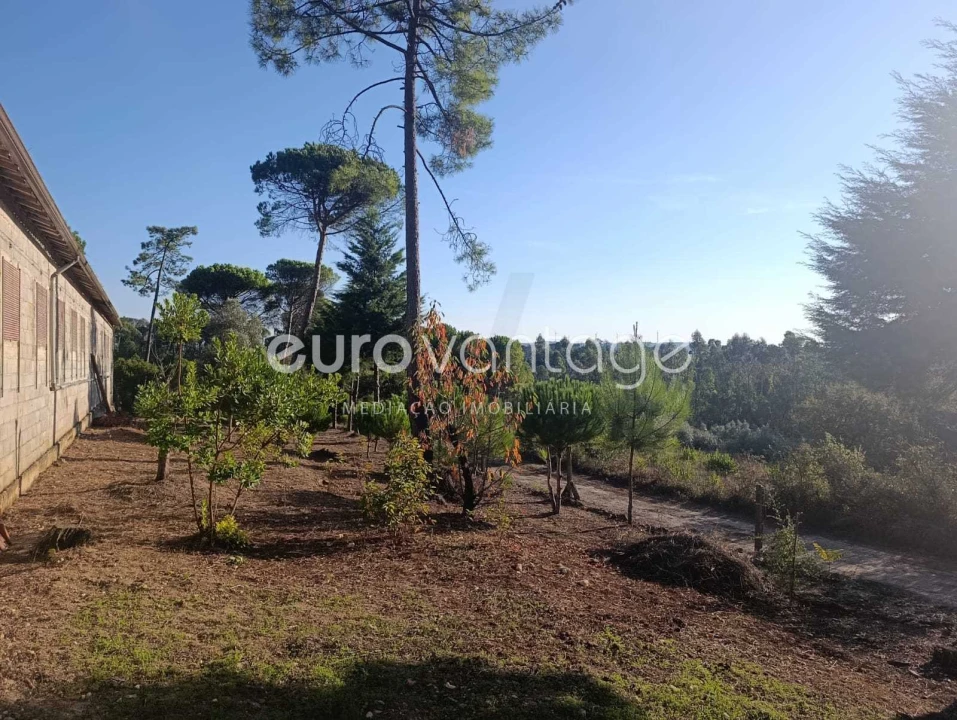 Armazém para Venda em Caranguejeira Foto 12