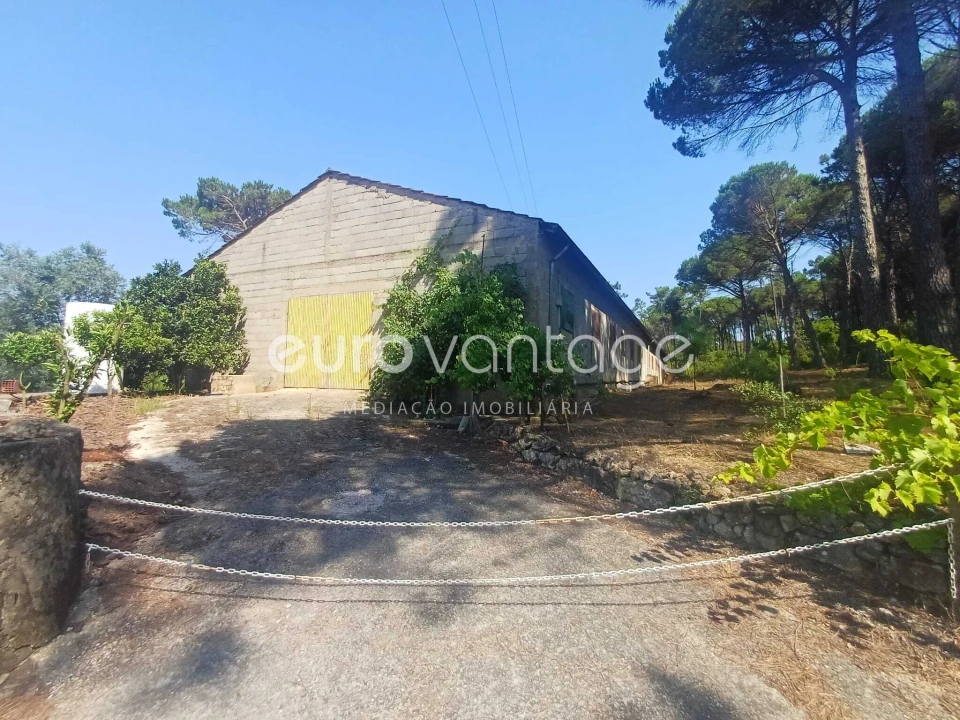 Armazém para Venda em Caranguejeira Foto 4