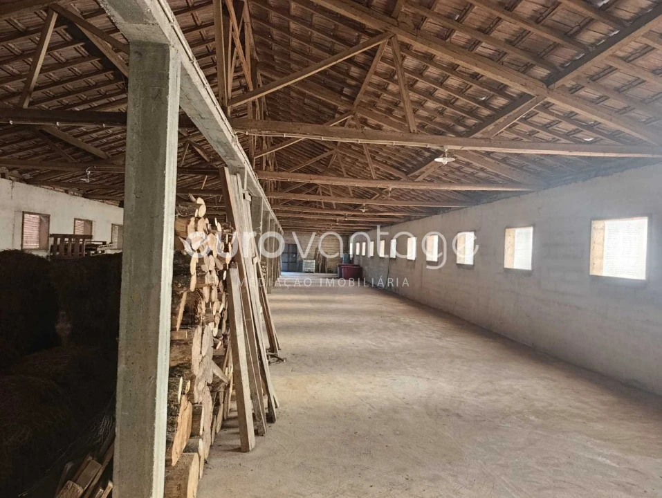 Armazém para Venda em Caranguejeira Foto 16