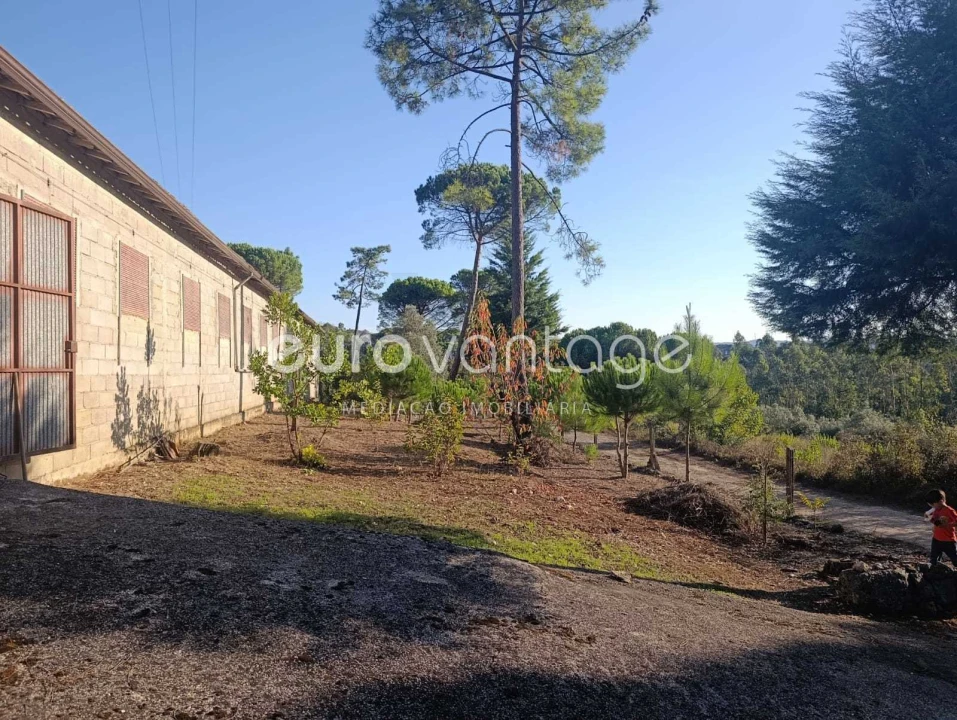 Armazém para Venda em Caranguejeira Foto 11