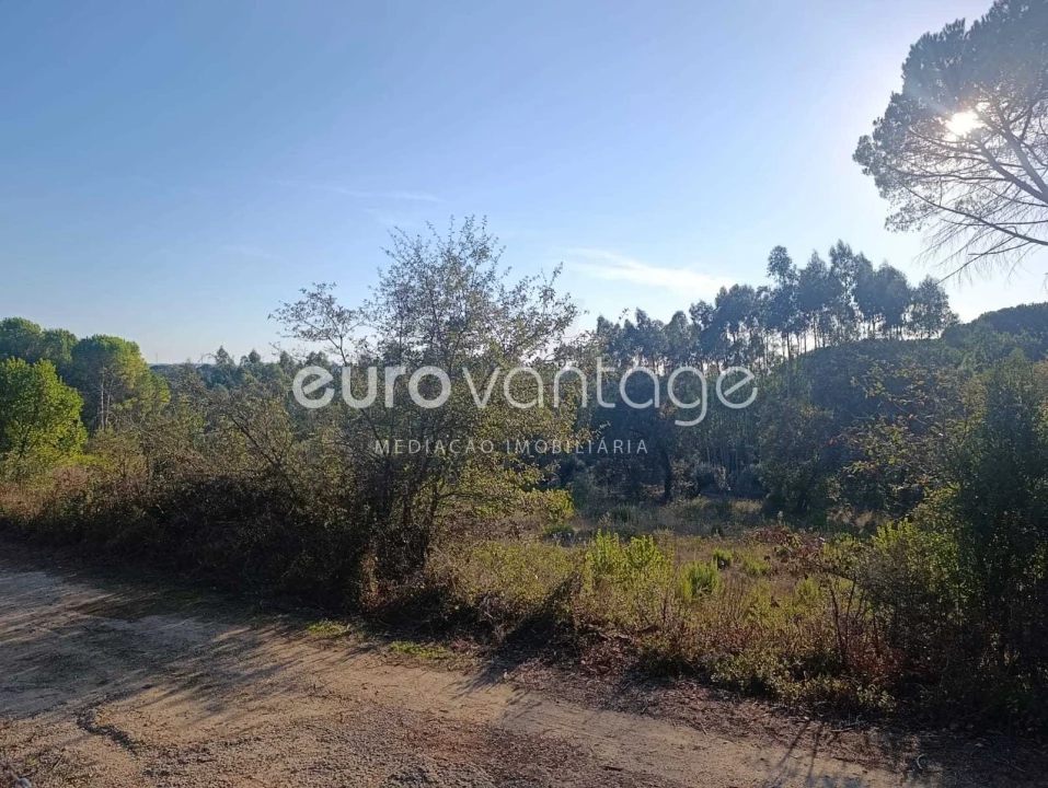 Armazém para Venda em Caranguejeira Foto 9