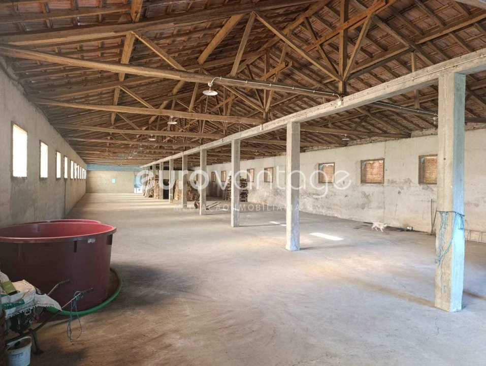 Armazém para Venda em Caranguejeira Foto 18