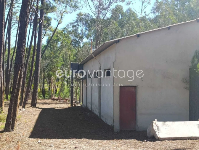Armazém para Venda em Maceira Foto 15