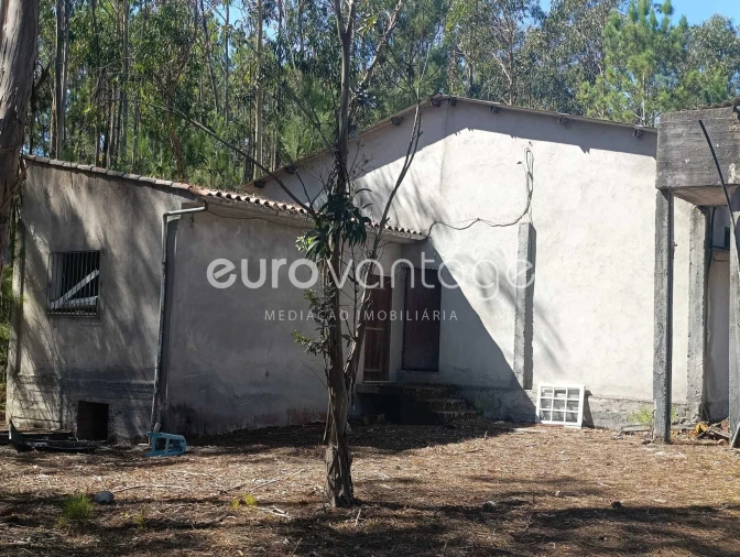 Armazém para Venda em Maceira Foto 9