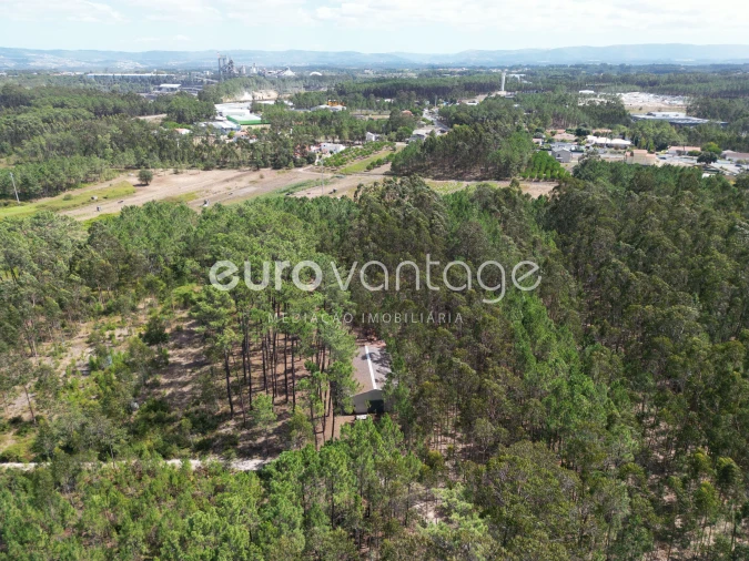 Armazém para Venda em Maceira Foto 5