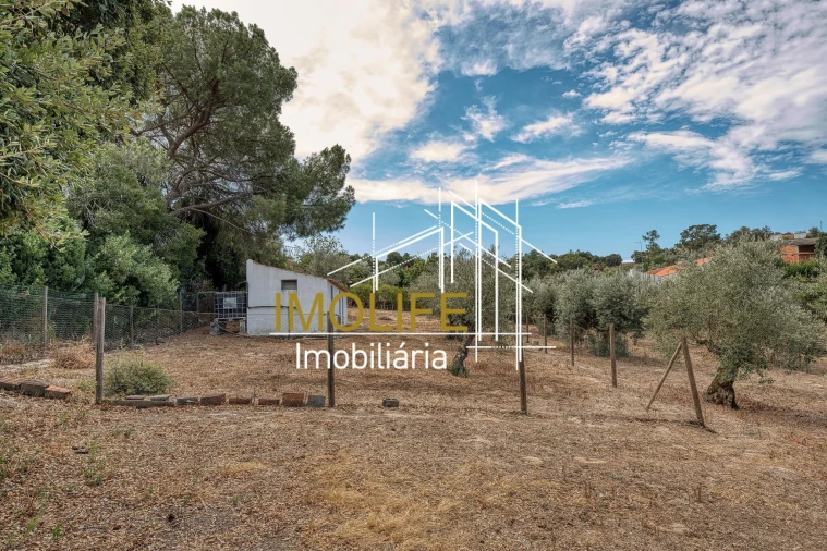 Quinta T4 para Venda em Mora Foto 14